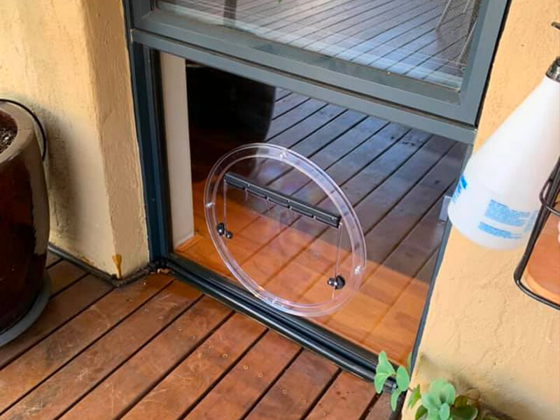 Pet Doors Perth Dogs Cats Door Installation